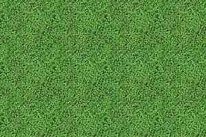 Ковролин ForboFlotex Vision Image 000430 Shamrock фото  | FLOORDEALER